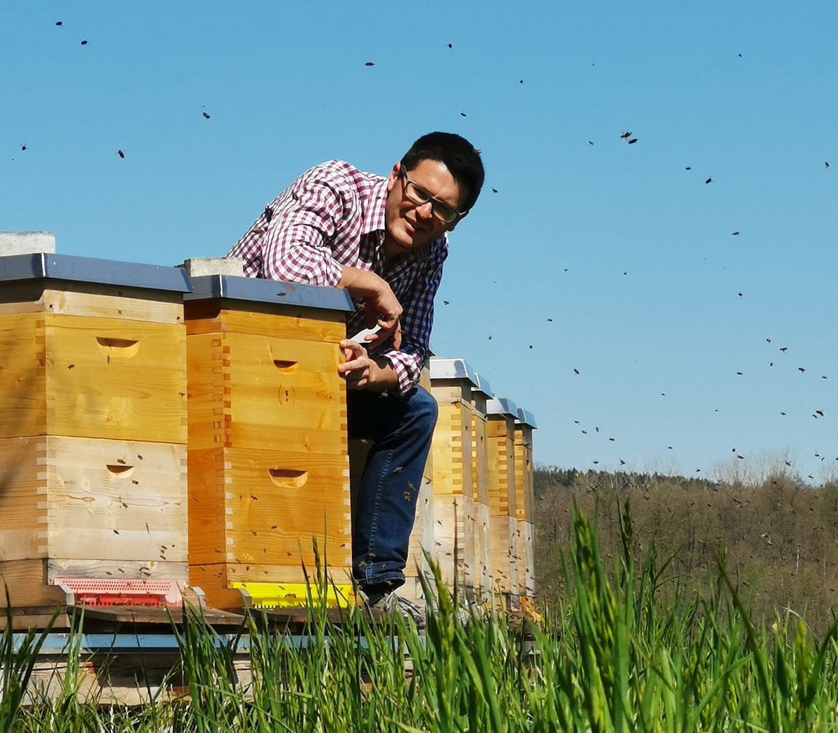 Video laden: Video über die STIBEE Experience
